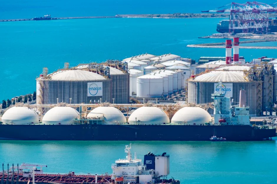 Fuel costs drive cruise margins down
